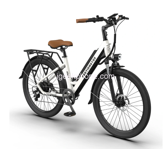 AOSTIRMOTOR G350 Electric Bicycle