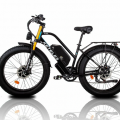 KETELES XF4000 Electric Bike