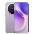 Vivo X300