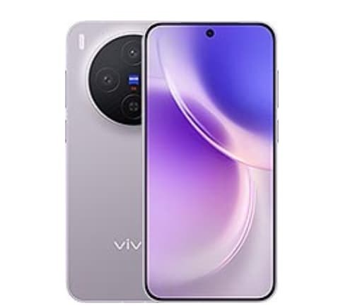 Vivo X300