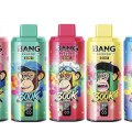 Bang Legend Geek 8-in-1 300K Disposable Vape