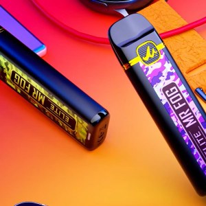 Mrfog Elite Vape
