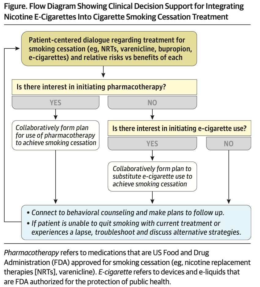 International Expert Panel Recommends Discussing E-Cigarettes as a Smoking Cessation Option for Adult Smokers